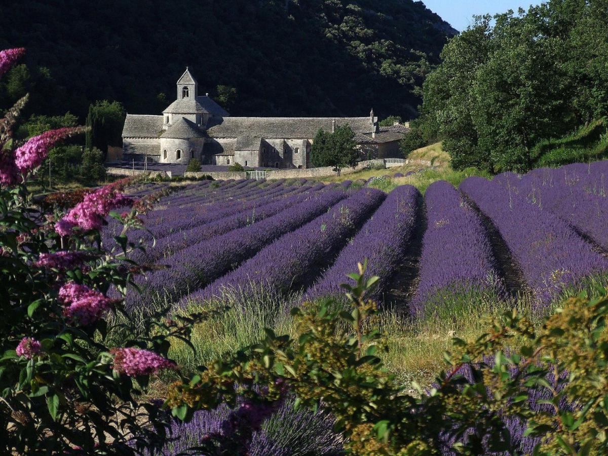 Les Cerises Bed & Breakfast Saint-Saturnin-les-Apt Exterior photo